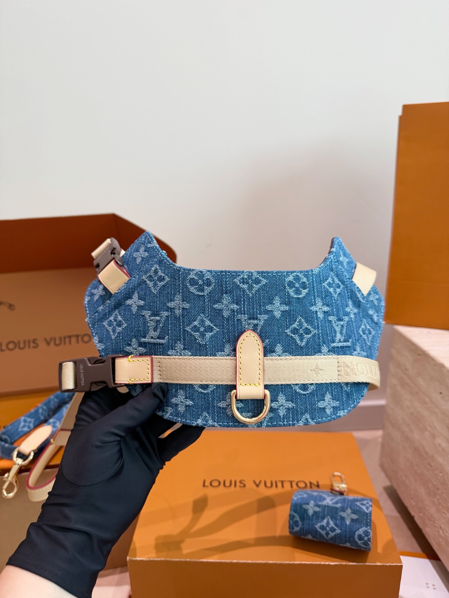 Louis Vuitton LV Luxury Designer Handbag | Luxury Designer Fashion Accessory